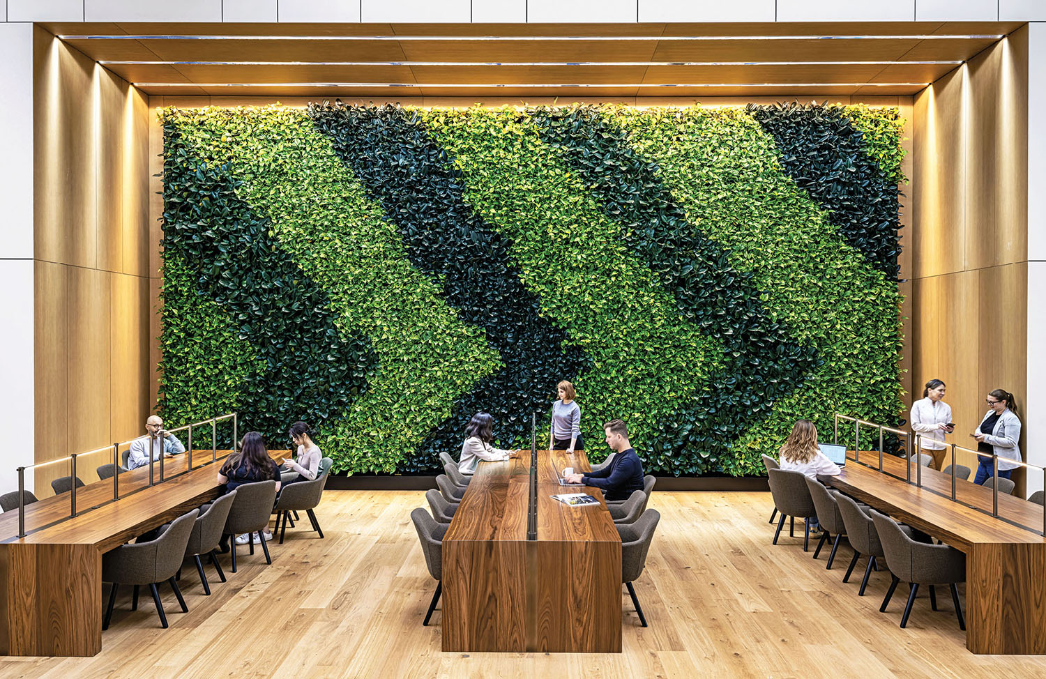 A green wall in a conference room