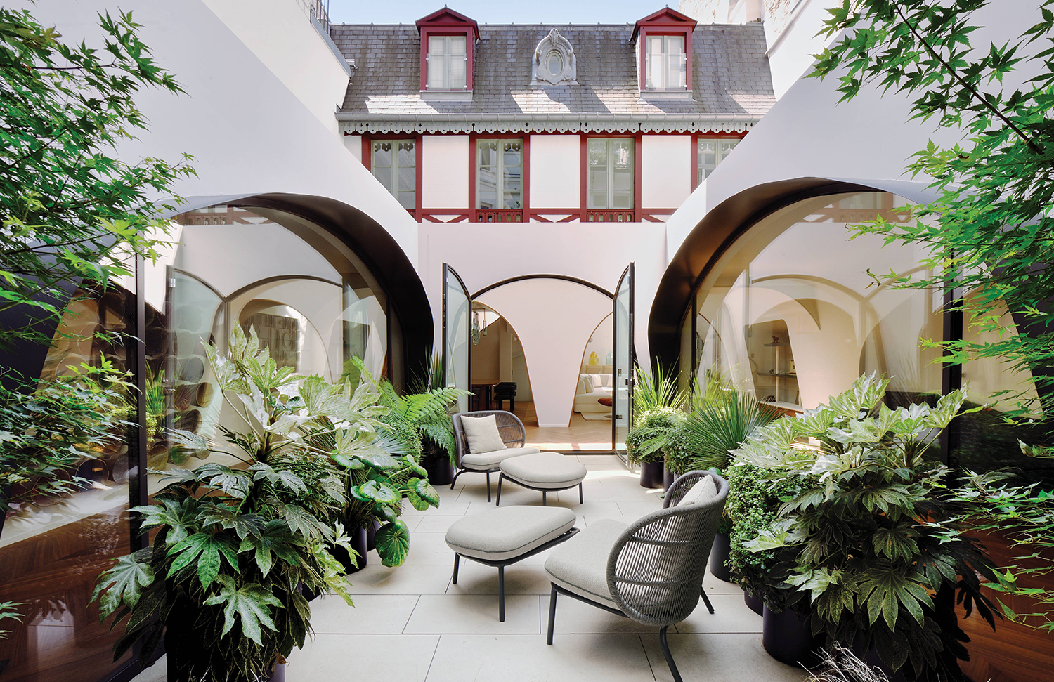 A room with a large plant in the center