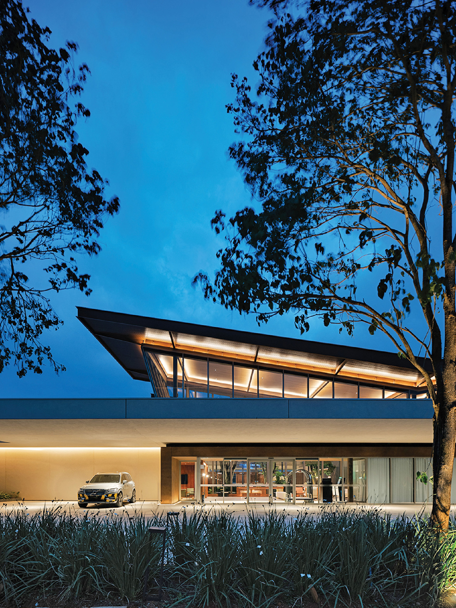 A tree in front of a house
