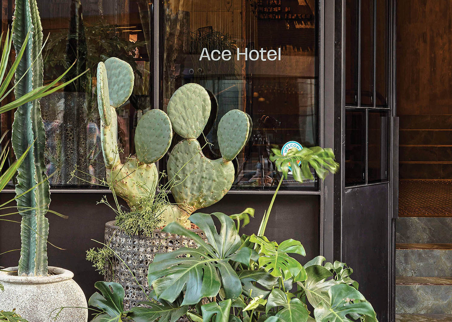 A plant in a pot outside of a hotel.