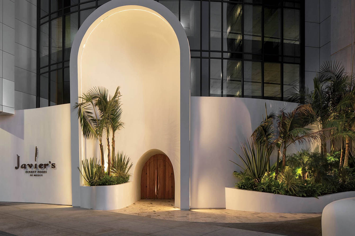 A white building with a wooden door and a palm tree.