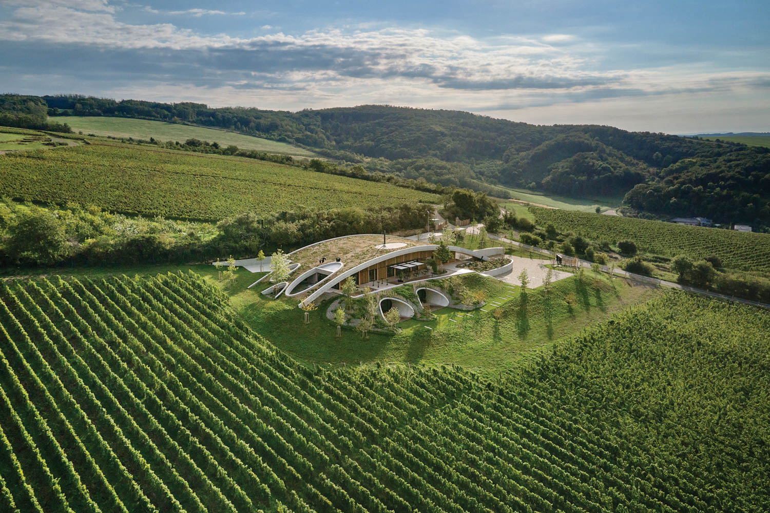 a sustainably designed winery surrounded by fields where the wine is produced