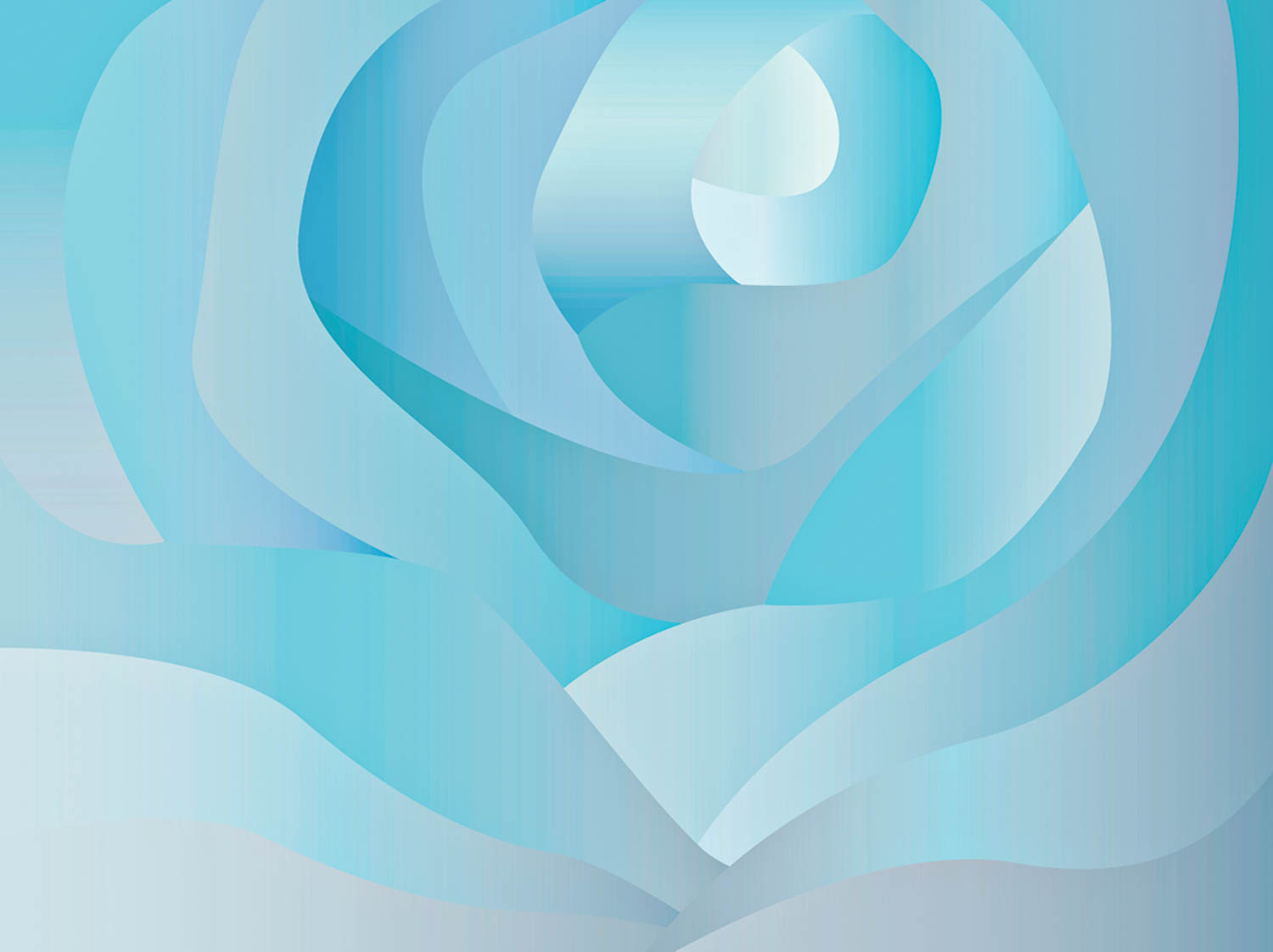 blue tulip in background